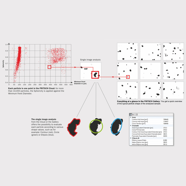 Analysette 28 - immagine 5
